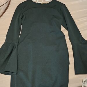 Elegant Dark Green Dress